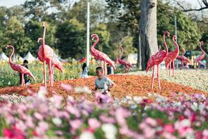 BIB: 
                            <button type="button" onclick="openModal(27344331)" class="btn btn-primary btn-sm float-right btn-popup" data-toggle="modal" data-target=".modal-high-quality">
                        <i class="fas fa-shopping-cart"></i> Add to Cart
                    </button>
                                            <button type="button" onclick="isThisMe(27344331, true)" class="btn btn-success btn-sm float-right btn-popup btn-isme hidden" data-toggle="tooltip" data-placement="bottom" title="นี่คือรูปของคุณใช่ไหม คลิกที่นี่เพื่อเอาเข้าอัลบั้ม">
                        <i class="fas fa-plus"></i> Add to album
                    </button>
                    <button type="button" onclick="isThisMe(27344331, false)" class="btn btn-warning btn-sm float-right btn-popup btn-isnotme hidden">
                        <i class="fas fa-ban"></i> Remove from album
                    </button>